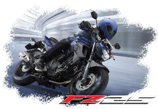 yamaha fzs v3 accessories online shopping